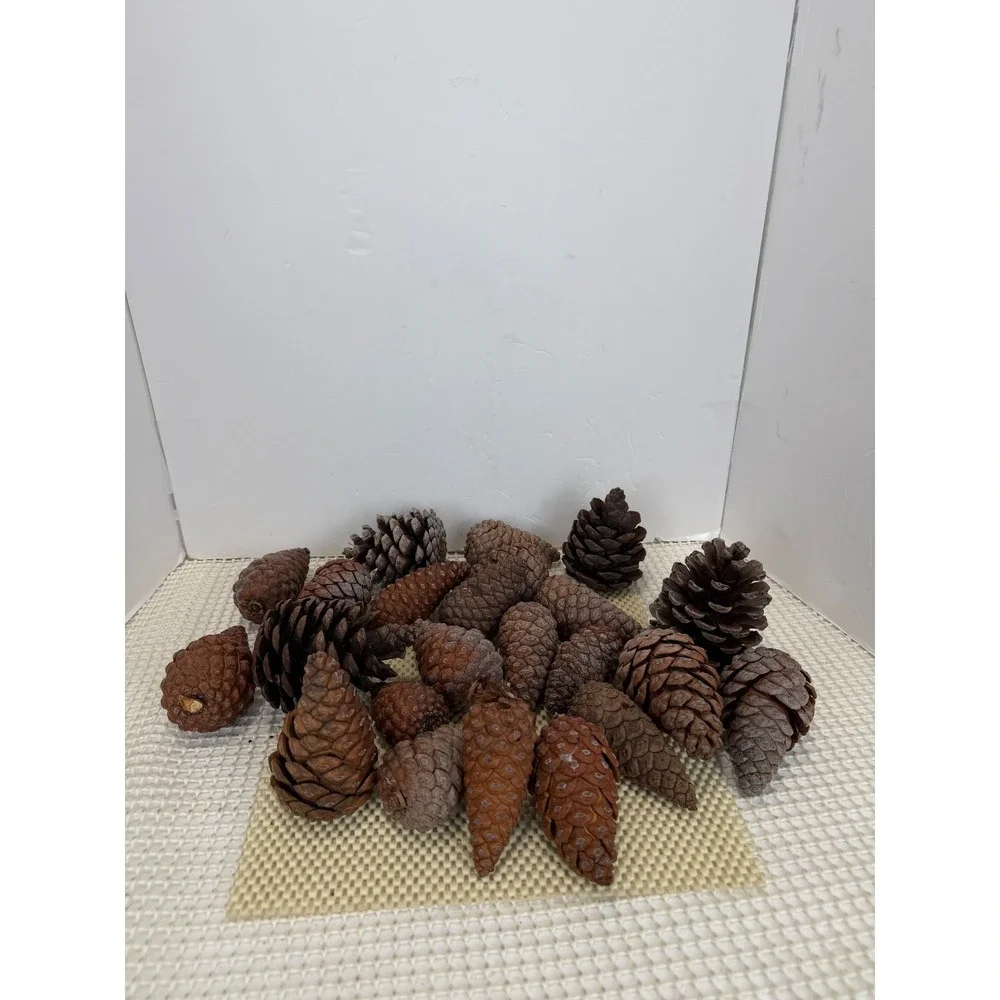 N/A natural pine